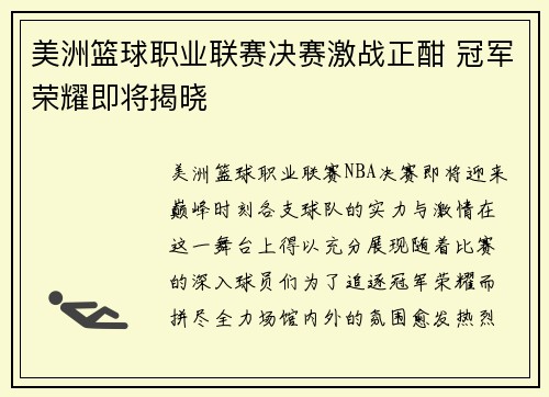 美洲篮球职业联赛决赛激战正酣 冠军荣耀即将揭晓