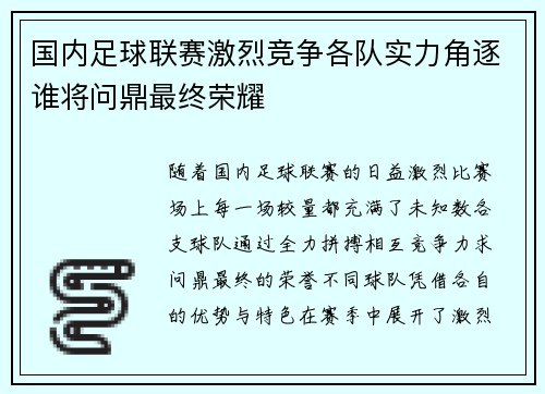 国内足球联赛激烈竞争各队实力角逐谁将问鼎最终荣耀