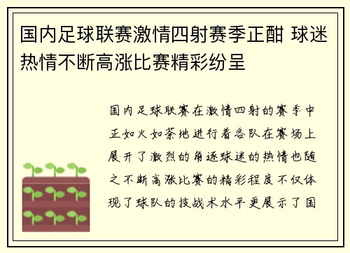 国内足球联赛激情四射赛季正酣 球迷热情不断高涨比赛精彩纷呈