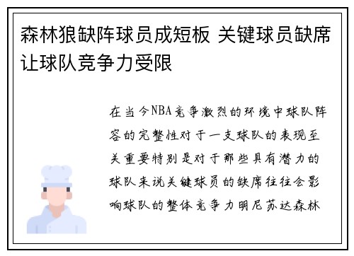 森林狼缺阵球员成短板 关键球员缺席让球队竞争力受限