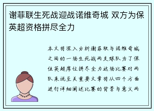 谢菲联生死战迎战诺维奇城 双方为保英超资格拼尽全力